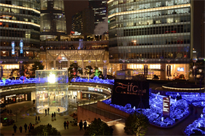 社会融入：上海残疾人的故事